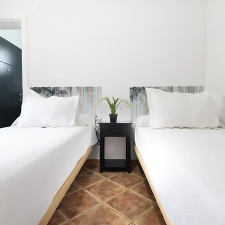 Dalia Apartment